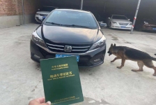 众泰Z300