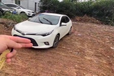 丰田 雷凌