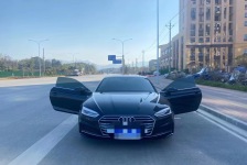 奥迪A5(进口)