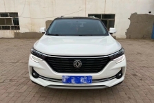 东风风行 T5