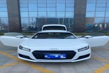 奥迪TT(进口)