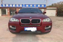 宝马X6(进口)