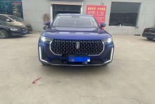 奔腾 t99