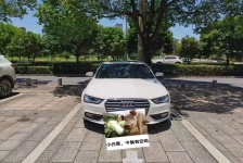 奥迪A4L