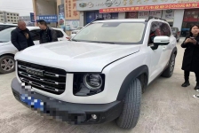 长城 哈弗大狗