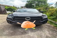 长城炮